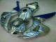 Discount 2006-2007 Blue Flame Silver Honda CBR1000RR Motorcycle Fairing Kits UK Discount 2006-2007 Blue Flame Silver Honda CBR1000RR Motorcycle Fairing Kits UK