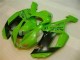 Discount 2007-2008 Green Black Dunlop Kawasaki ZX6R Motorbike Fairing Kits UK Discount 2007-2008 Green Black Dunlop Kawasaki ZX6R Motorbike Fairing Kits UK